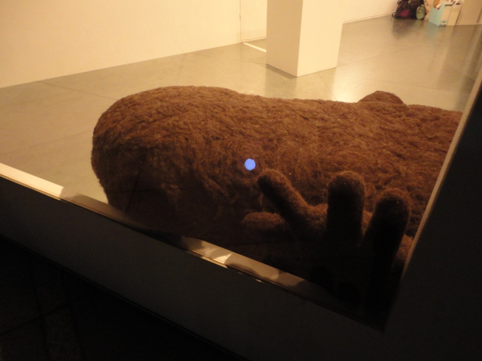 The salamander's eye glowing behind the glass