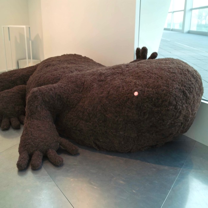 オオサンショウウオ(大)