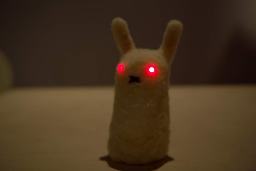 暗闇の中で目を光らせるうさぎのクローズアップ